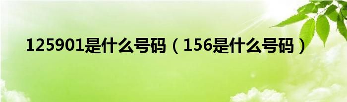 125901是什么号码（156是什么号码）