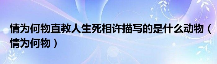 情为何物直教人生死相许描写的是什么动物（情为何物）