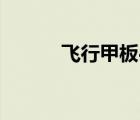 飞行甲板4手机版（飞行甲板4）