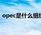 opec是什么组织的英文缩写（opec是什么）