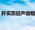 肝实质回声增粗什么意思（肝实质回声增粗）