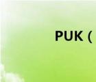 PUK（说一说PUK的简介）