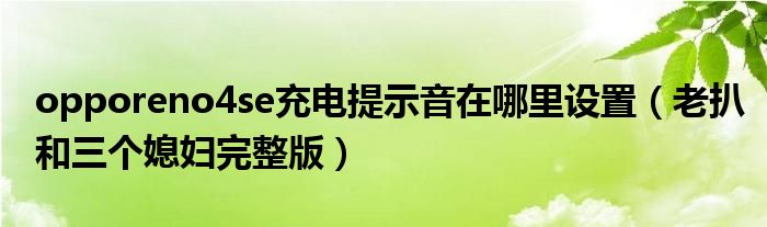 opporeno4se充电提示音在哪里设置（老扒和三个媳妇完整版）