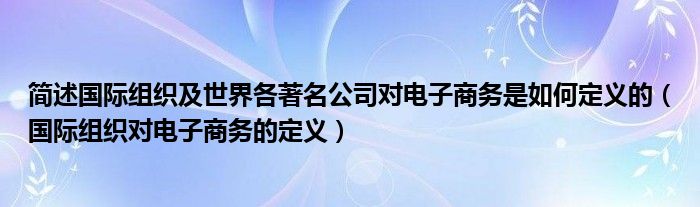 简述国际组织及世界各著名公司对电子商务是如何定义的（国际组织对电子商务的定义）