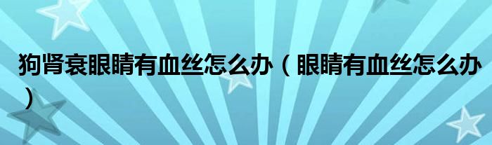 狗肾衰眼睛有血丝怎么办（眼睛有血丝怎么办）