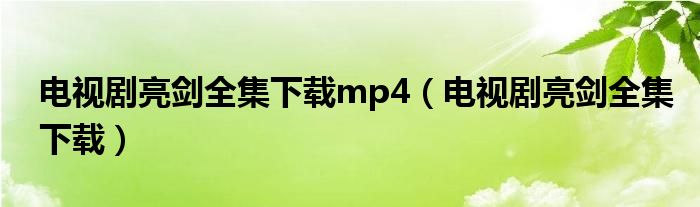 电视剧亮剑全集下载mp4（电视剧亮剑全集下载）