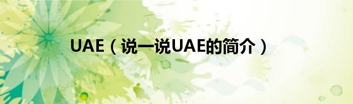 UAE（说一说UAE的简介）