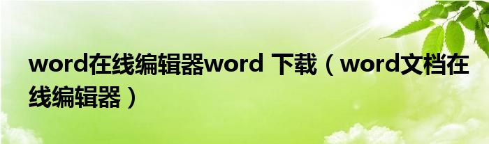 word在线编辑器word 下载（word文档在线编辑器）