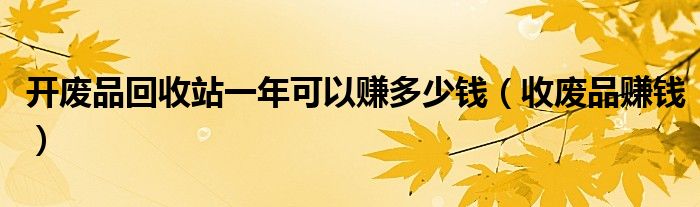 开废品回收站一年可以赚多少钱（收废品赚钱）