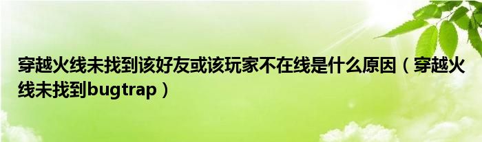 穿越火线未找到该好友或该玩家不在线是什么原因（穿越火线未找到bugtrap）