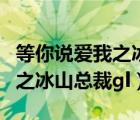 等你说爱我之冰山总裁全网阅读（等你说爱我之冰山总裁gl）