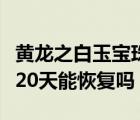 黄龙之白玉宝珠多少天能做出来（做完双眼皮20天能恢复吗）