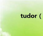 tudor（说一说tudor的简介）