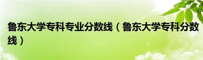 鲁东大学专科专业分数线（鲁东大学专科分数线）