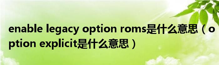 enable legacy option roms是什么意思（option explicit是什么意思）