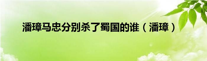 潘璋马忠分别杀了蜀国的谁（潘璋）