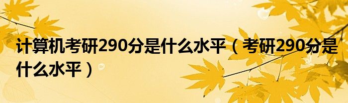 计算机考研290分是什么水平（考研290分是什么水平）