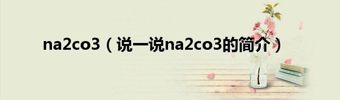 na2co3（说一说na2co3的简介）