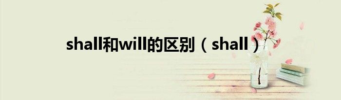 shall和will的区别（shall）