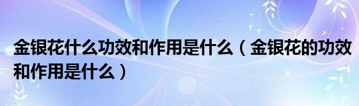 金银花什么功效和作用是什么（金银花的功效和作用是什么）