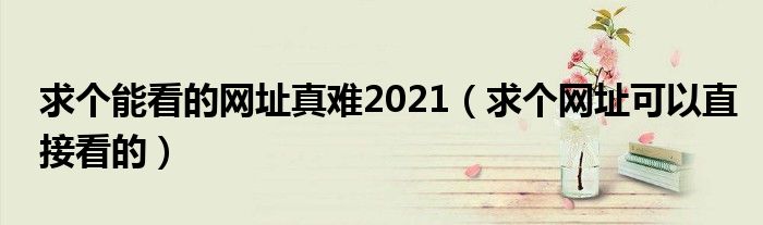 求个能看的网址真难2021（求个网址可以直接看的）