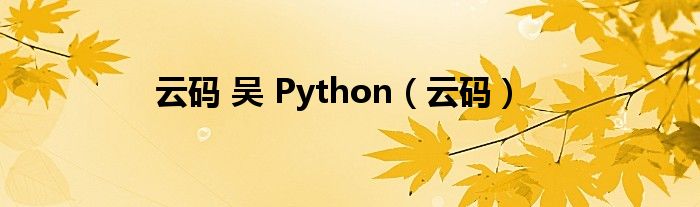 云码 吴 Python（云码）