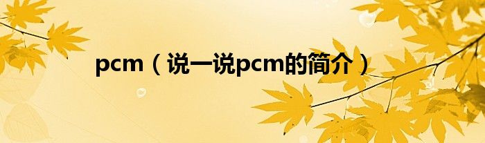 pcm（说一说pcm的简介）