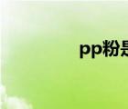 pp粉是什么东西（pp粉）