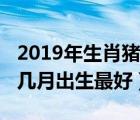 2019年生肖猪几月份出生最好（2019属猪的几月出生最好）