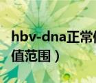 hbv-dna正常值是多少iu/ml（hbv dna正常值范围）