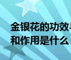 金银花的功效与作用是什么?（金银花的功效和作用是什么）