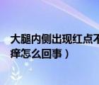 大腿内侧出现红点不痛不痒怎么回事（大腿内侧红点不痛不痒怎么回事）