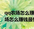 qq农场怎么赚钱最快场最赚钱的植物（qq农场怎么赚钱最快）