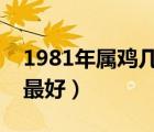 1981年属鸡几月出生最好（属猪的几月出生最好）