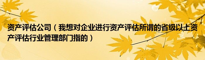 资产评估公司（我想对企业进行资产评估所谓的省级以上资产评估行业管理部门指的）