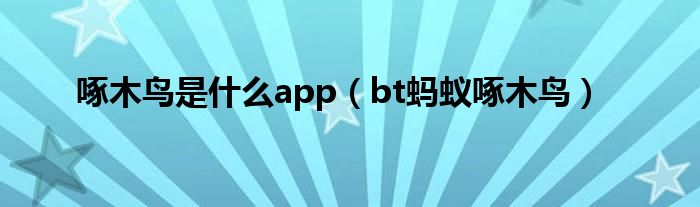 啄木鸟是什么app（bt蚂蚁啄木鸟）