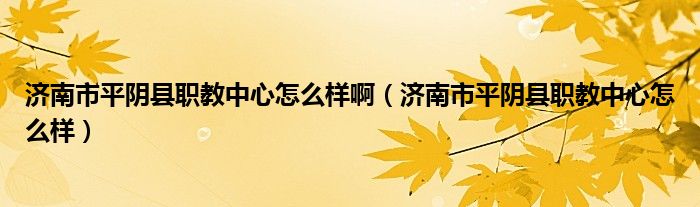 济南市平阴县职教中心怎么样啊（济南市平阴县职教中心怎么样）