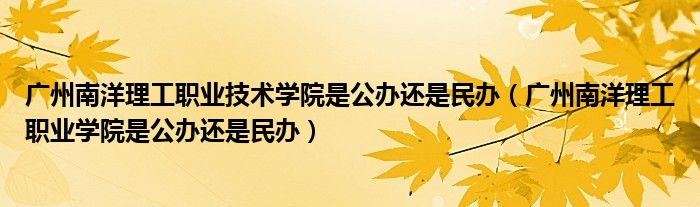 广州南洋理工职业技术学院是公办还是民办（广州南洋理工职业学院是公办还是民办）