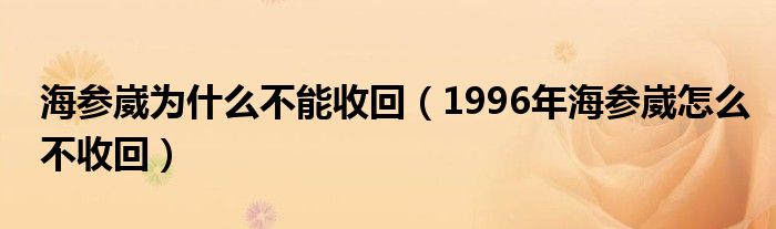 海参崴为什么不能收回（1996年海参崴怎么不收回）