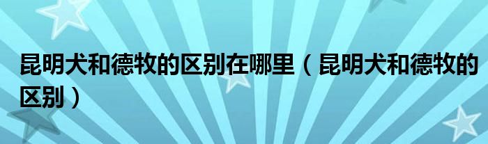 昆明犬和德牧的区别在哪里（昆明犬和德牧的区别）