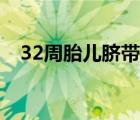 32周胎儿脐带绕颈一周（32周胎儿多大）