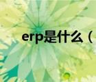 erp是什么（说一说erp是什么的简介）