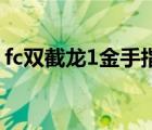 fc双截龙1金手指代码（谁有双截龙2金手指）