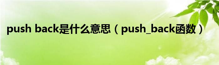 push back是什么意思（push_back函数）