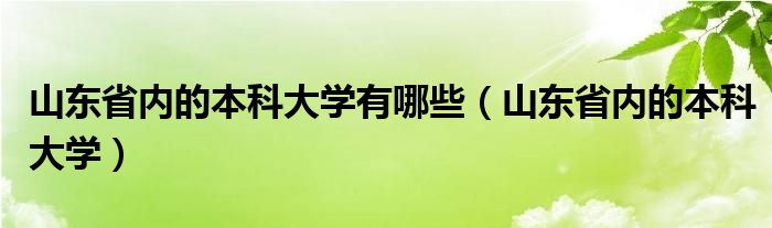 山东省内的本科大学有哪些（山东省内的本科大学）