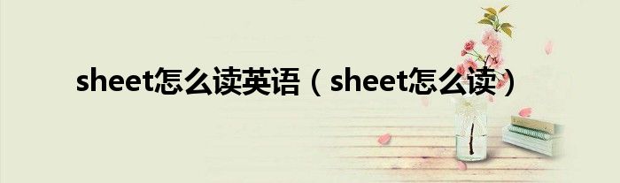 sheet怎么读英语（sheet怎么读）