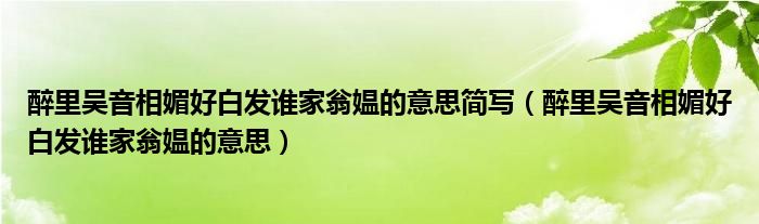 醉里吴音相媚好白发谁家翁媪的意思简写（醉里吴音相媚好白发谁家翁媪的意思）