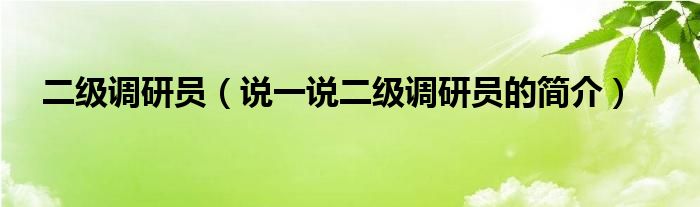 二级调研员（说一说二级调研员的简介）