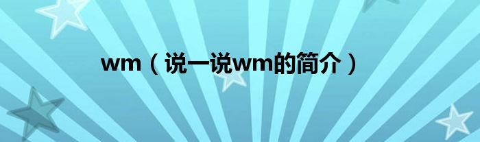 wm（说一说wm的简介）