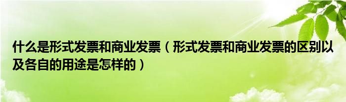 什么是形式发票和商业发票（形式发票和商业发票的区别以及各自的用途是怎样的）